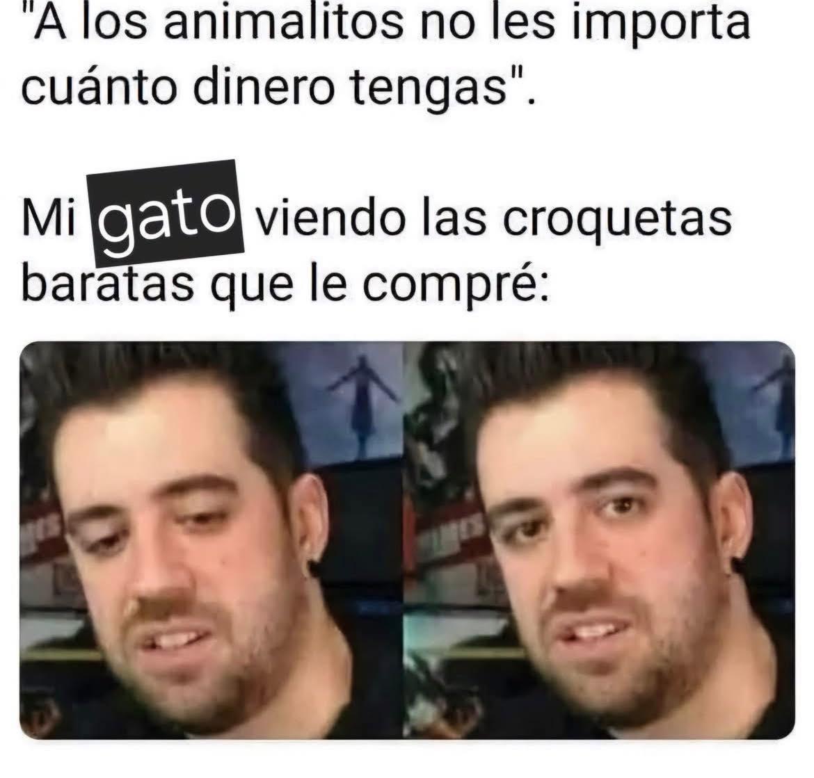 ☃️Oki Spooky Navideña🎄🎃🍁 tweet media