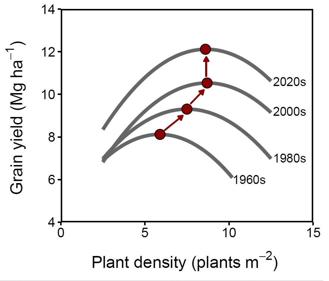 Lucas Borras tweet media