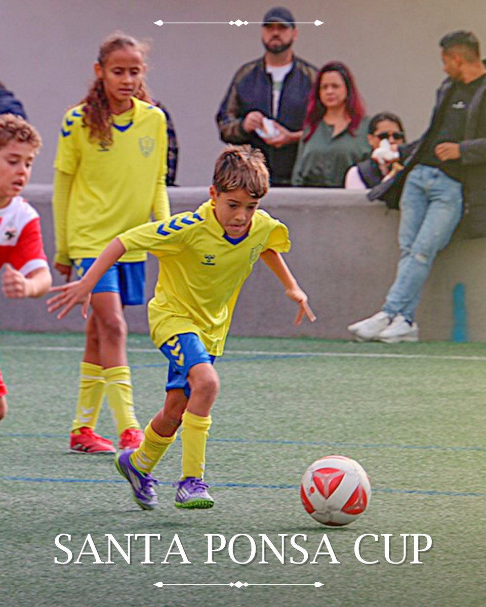 SCD Independiente Camp Redó tweet media