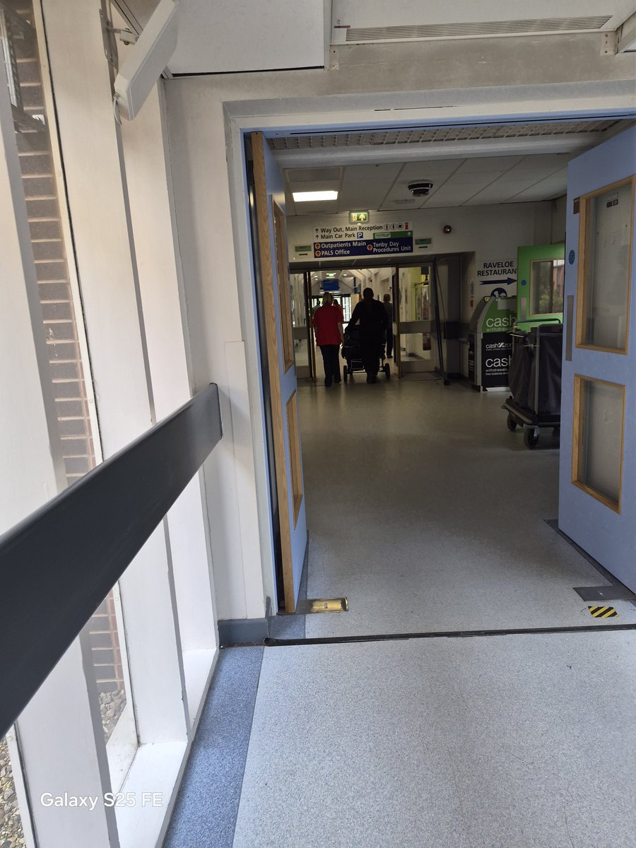 🎗 MOGGY 🎗 tweet media