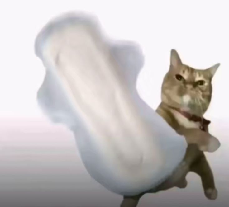 jaerang ⋆ ⦿⊝⊜ tweet media