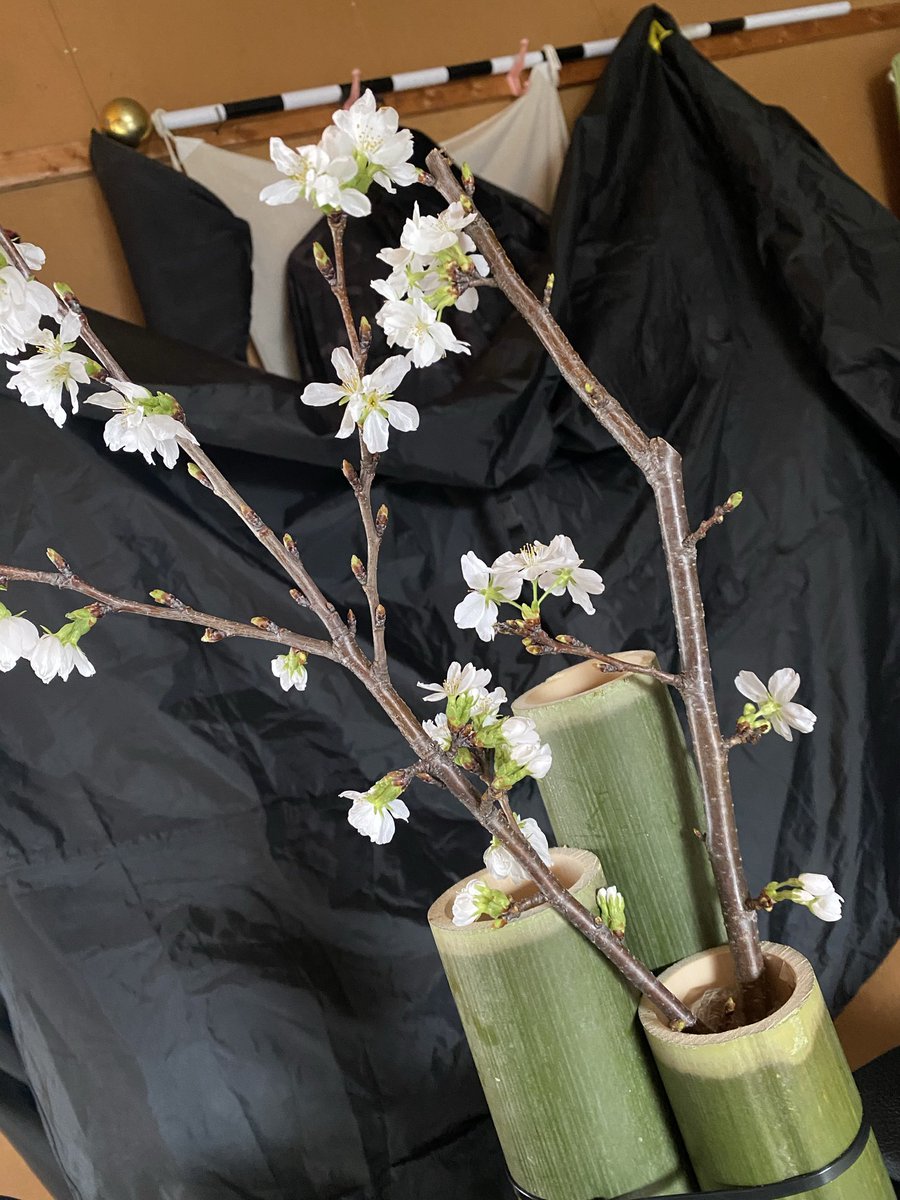 むつごろー tweet media