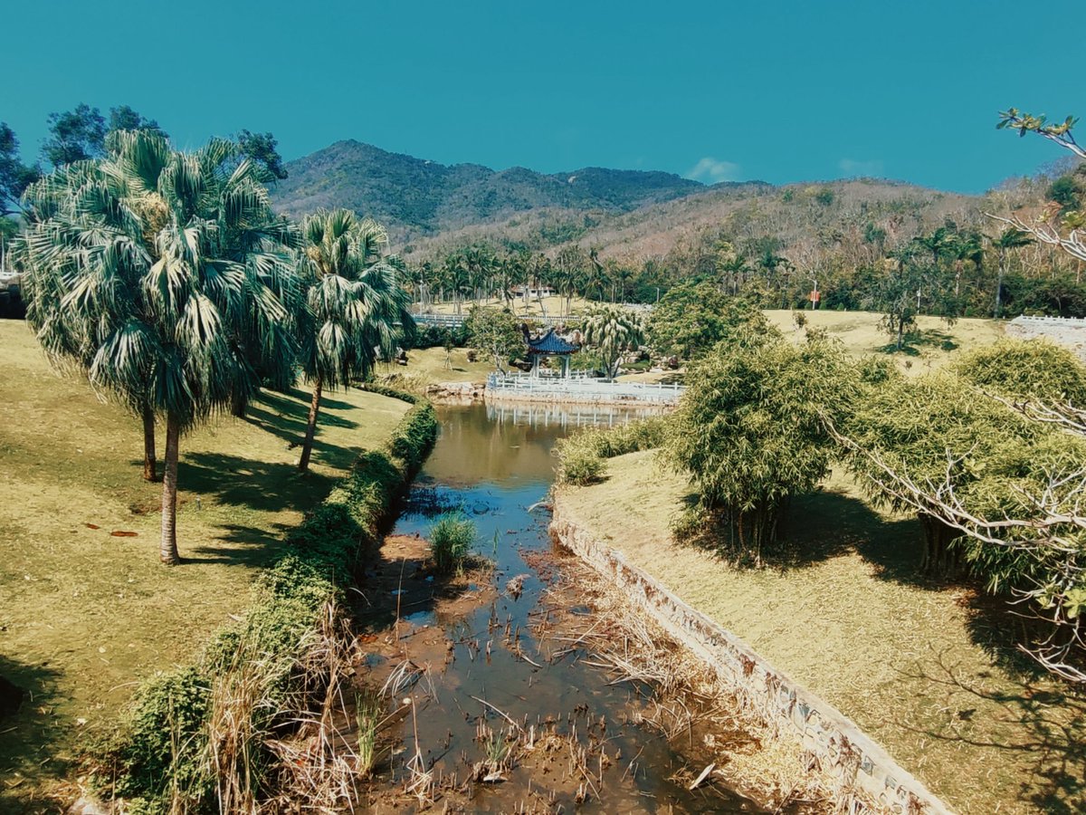 вернись в сорренто tweet media