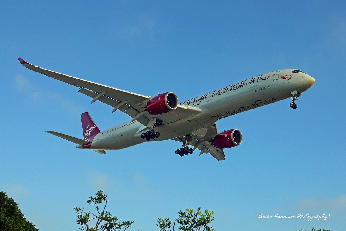 Brian Harrison tweet media