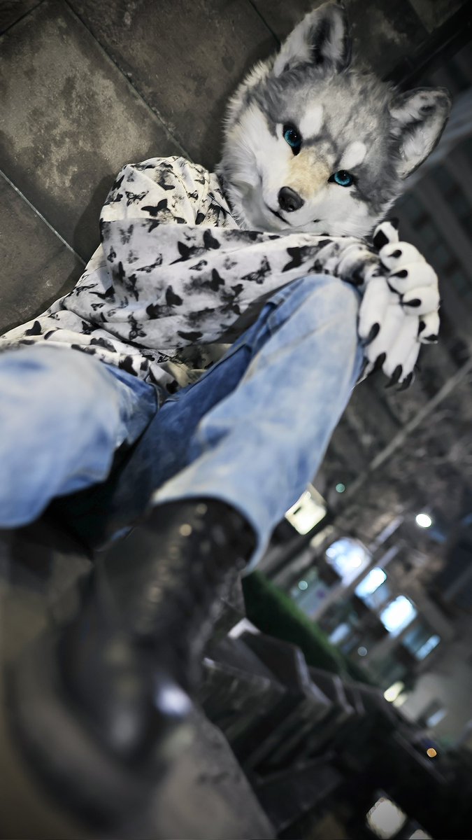 レーヴ・フォグリート (Rêve Foglit)🔰 tweet media