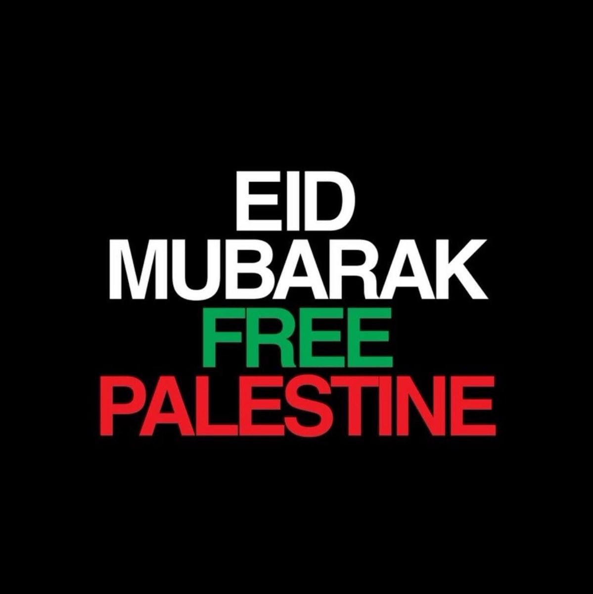 بن مرمريلي בן מרמרלי Ben Marmarelli tweet media