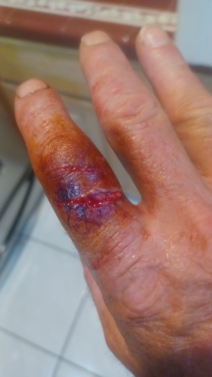 Branch Floridian tweet media