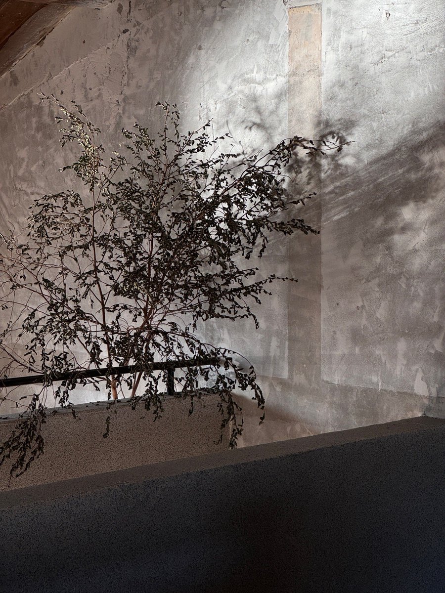 Cristian Smith tweet media