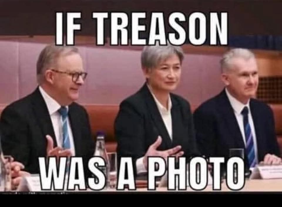 Shrimply_Best's tweet photo. @RitaPanahi Yeah treason, liars, parasites, narcissists and #unts. https://t.co/SZsmcJAxZA