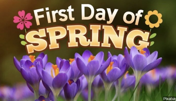 Sonny Lee tweet media