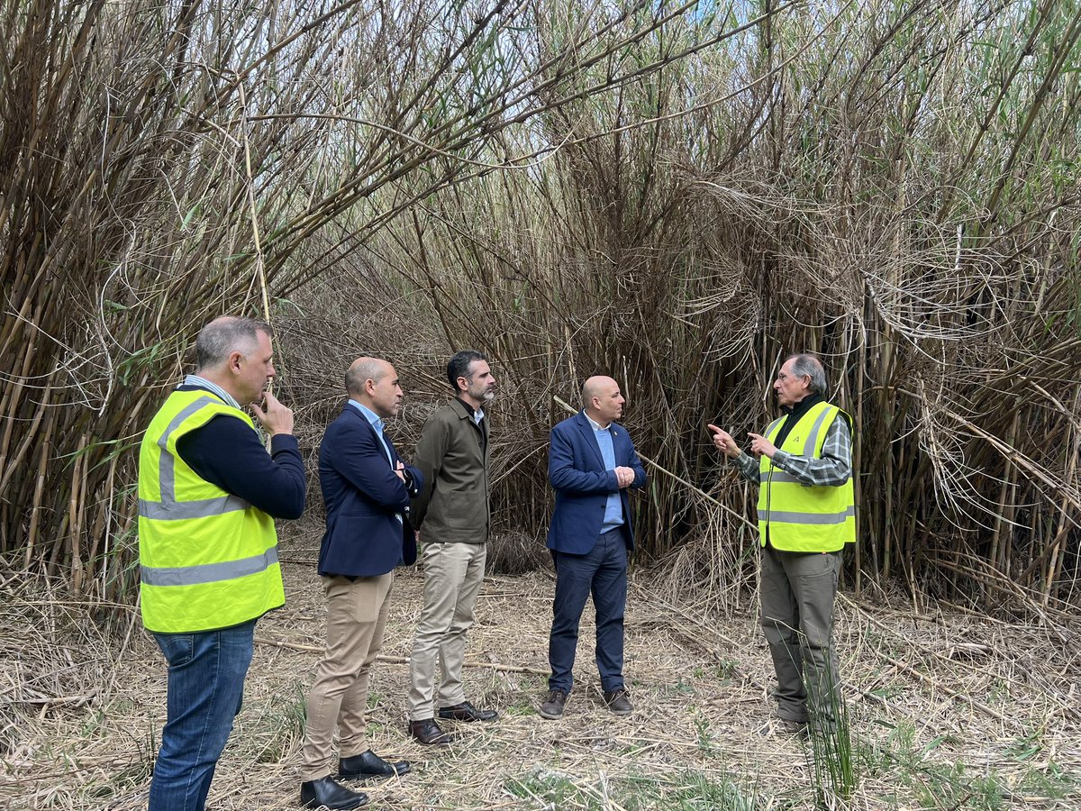 Ramón Fernández-Pacheco M tweet media