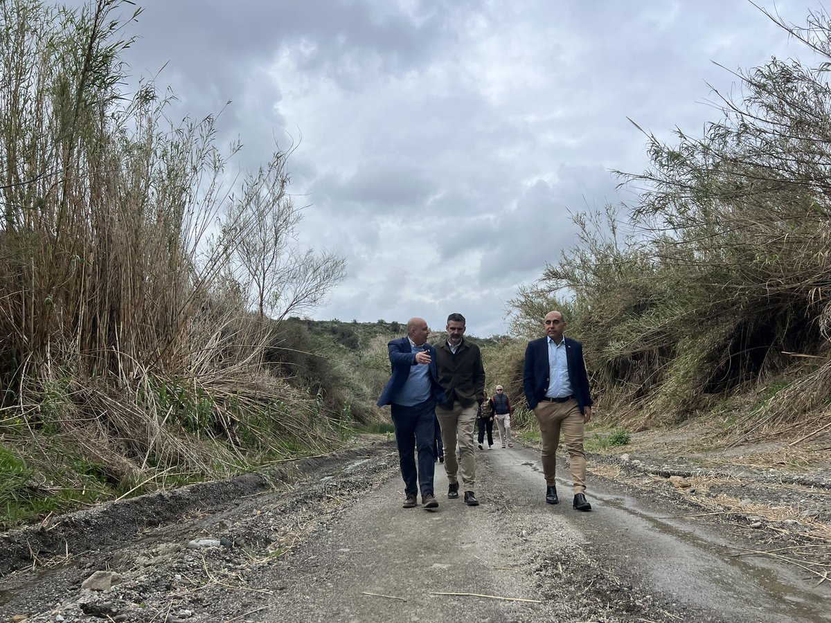 Ramón Fernández-Pacheco M tweet media