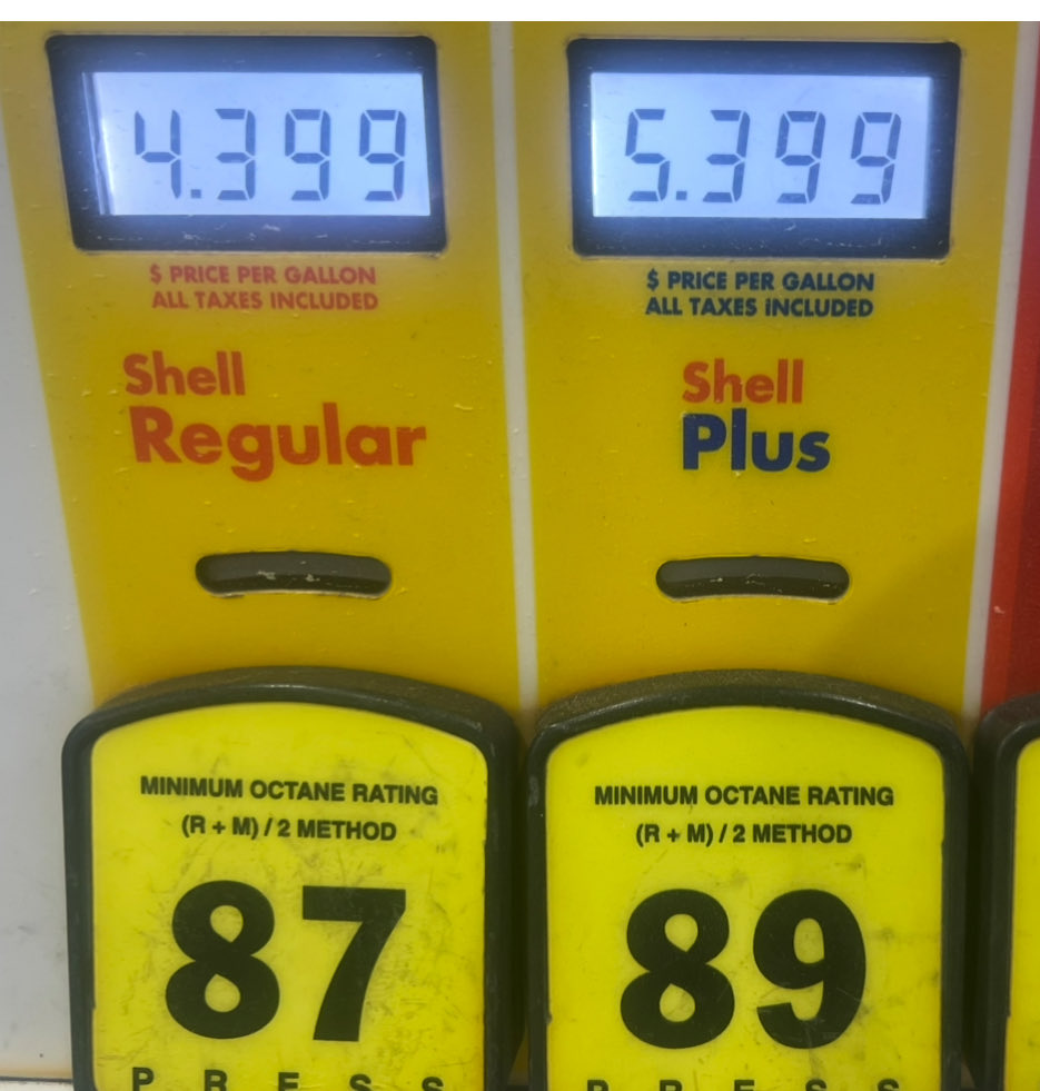 Patricia Murphy tweet media