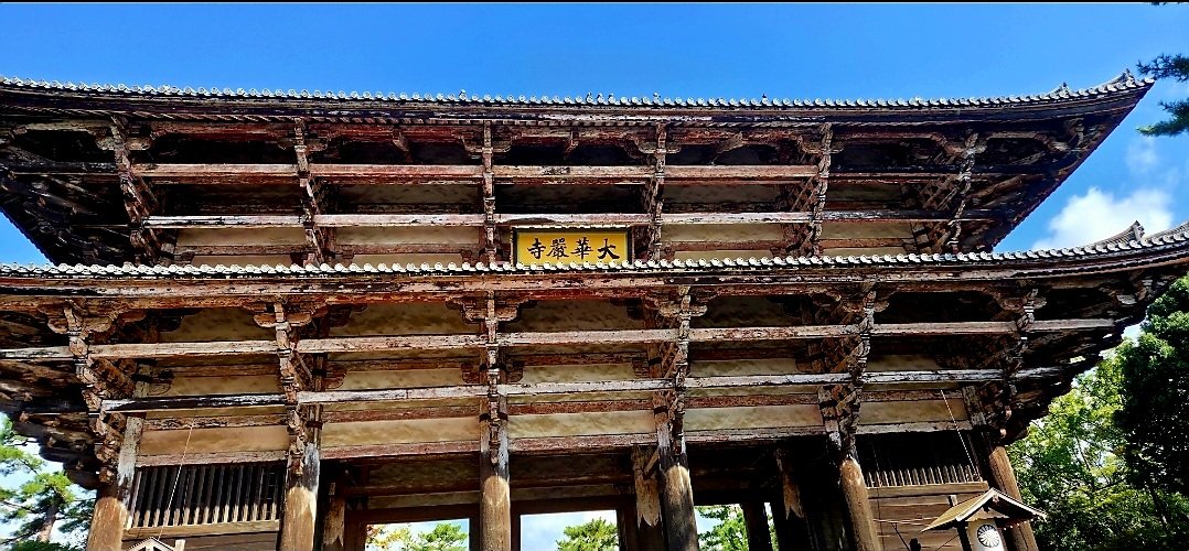 Cheryl Scheffer tweet media