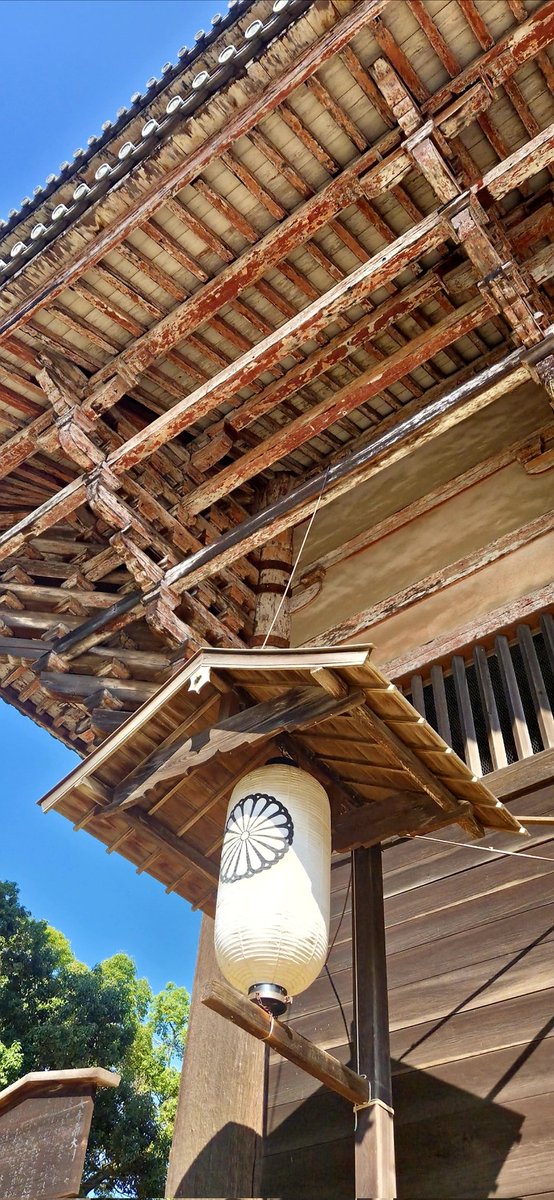 Cheryl Scheffer tweet media