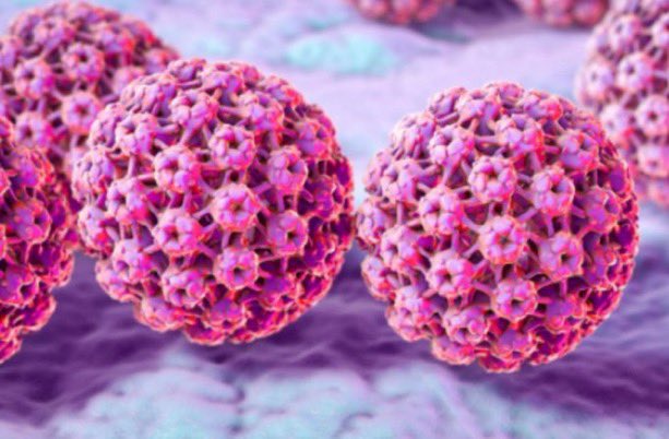 BlackBondPtv's tweet photo. LA PROUESSE SCIENTIFIQUE DU JOUR

La scientifique mexicaine Eva Ramón Gallegos a développé une thérapie photodynamique non invasive qui a éliminé le HPV chez 100 % des 29 femmes sans lésions précancéreuses (et partiellement chez celles avec CIN I) dans des études récentes. https://t.co/eCZtZqCfeR