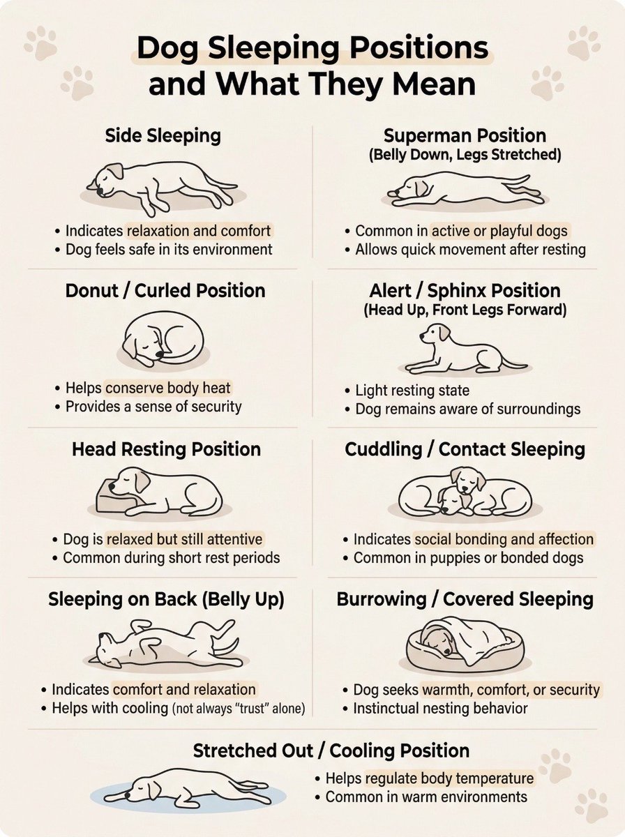 Learn Something tweet media