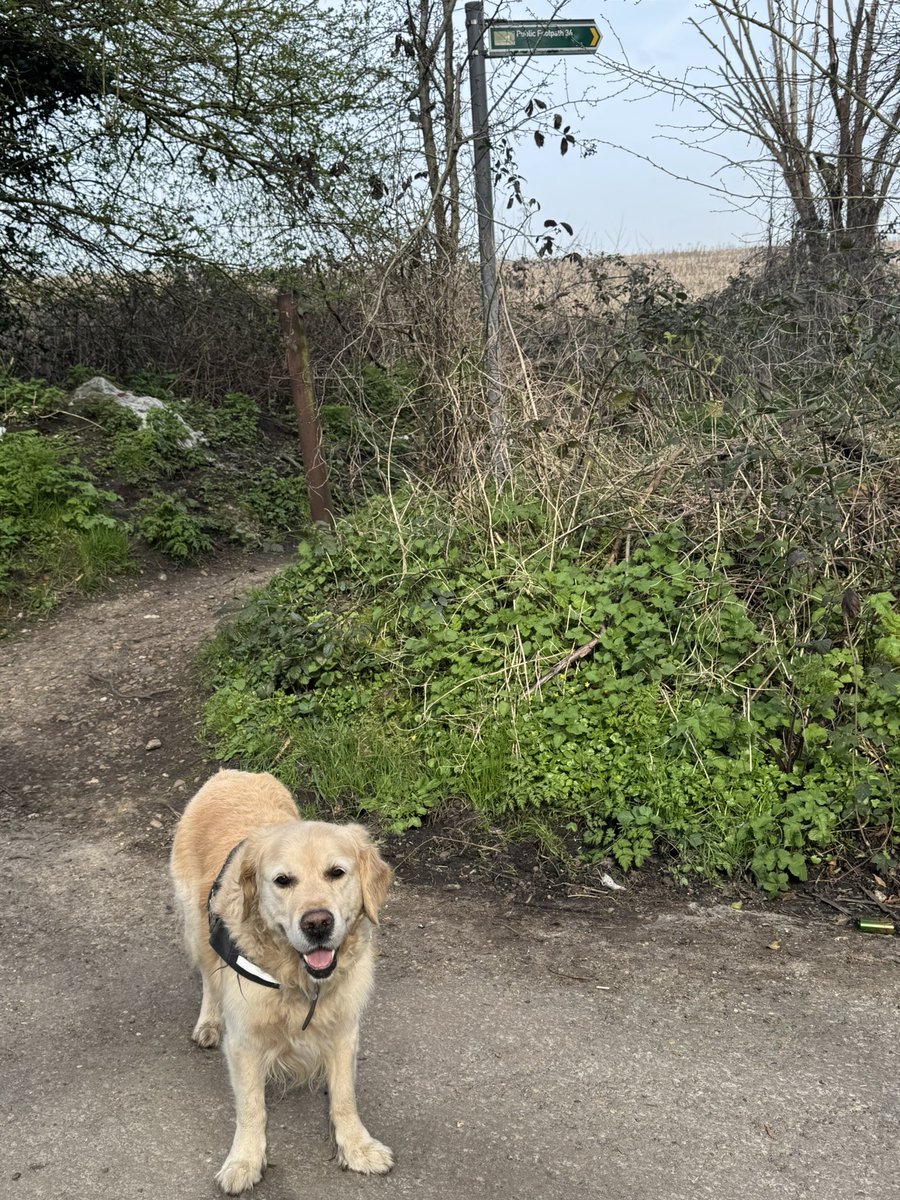 CharlieH29's tweet image. Day 5 of early retirement, and so far
managed to avoid watching ‘Bargain Hunt’ or ‘Homes Under The Hammer’ 😎😀#retirement