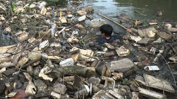 Foxhachi tweet media