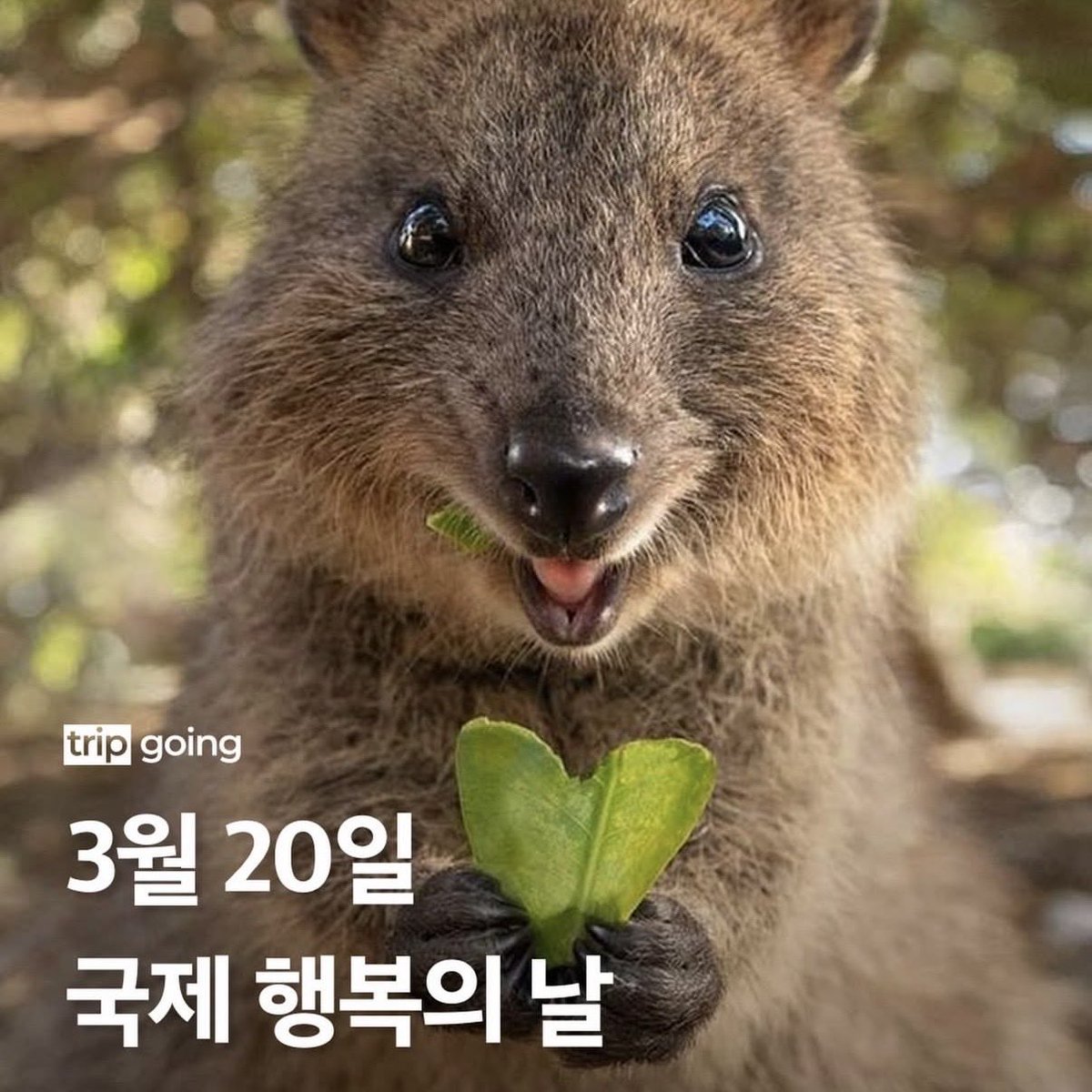 pp_oxop's tweet photo. 오늘이 국제 행복의 날이래요 모두 행복하세요🍀 https://t.co/ehcJyKlXn0