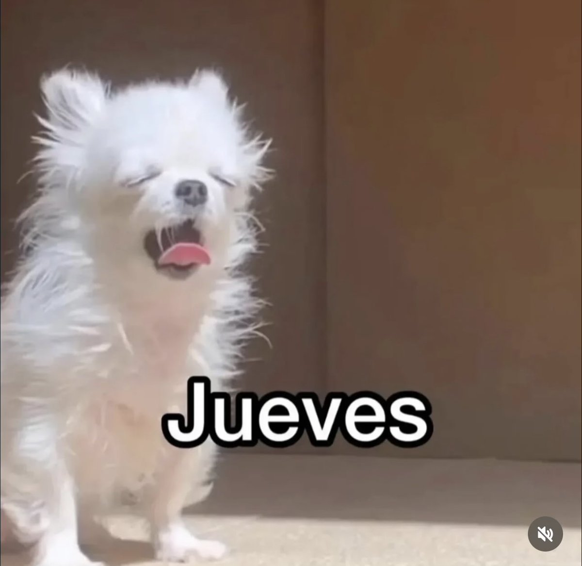 Hoy con toda la energía