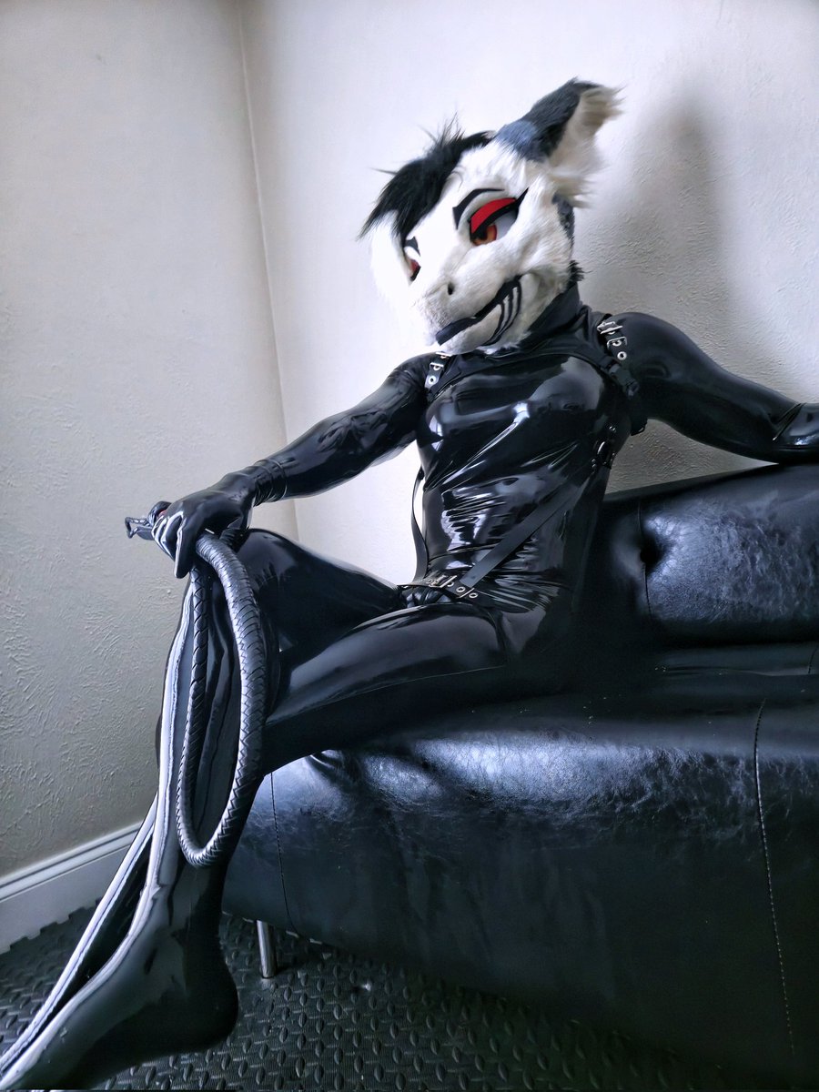 ᴡɪɴᴛᴇʀ ᴅɪꜱᴄɪᴘʟᴇ tweet media