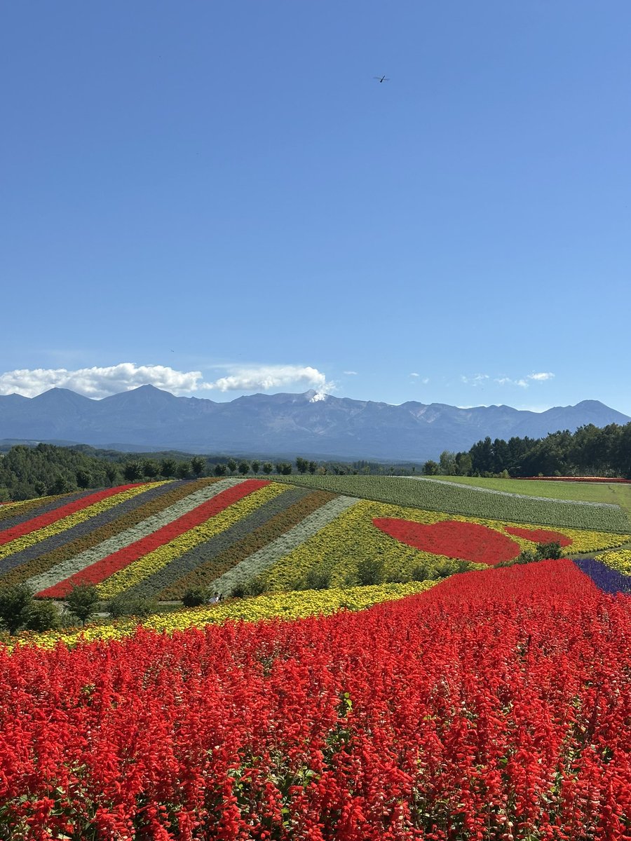 소봉이 tweet media