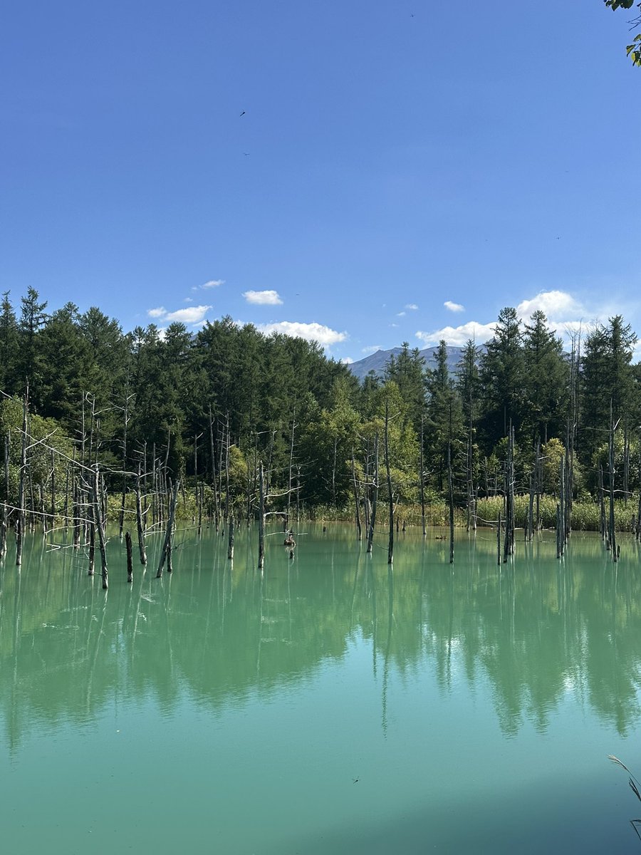 소봉이 tweet media