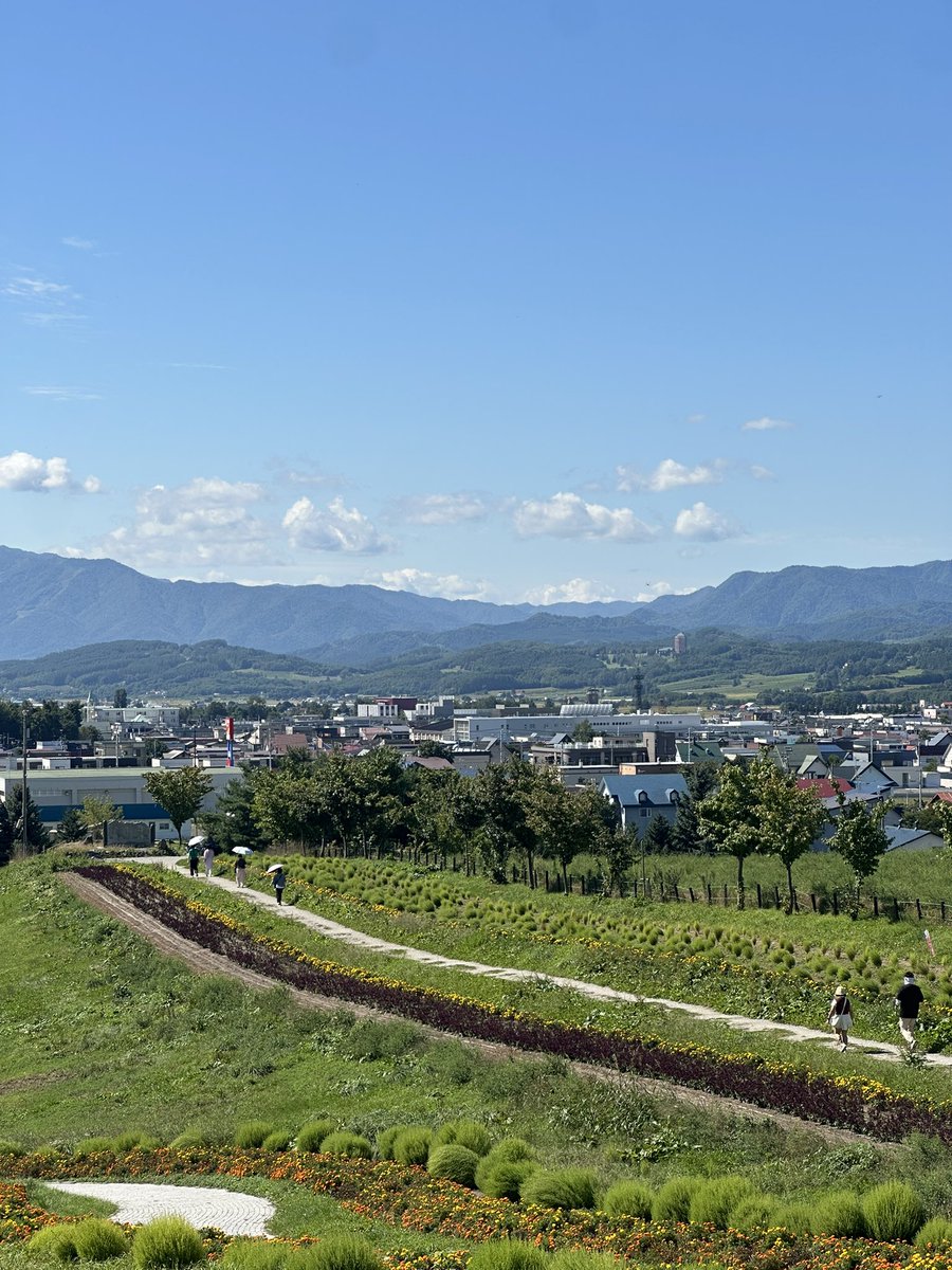 소봉이 tweet media