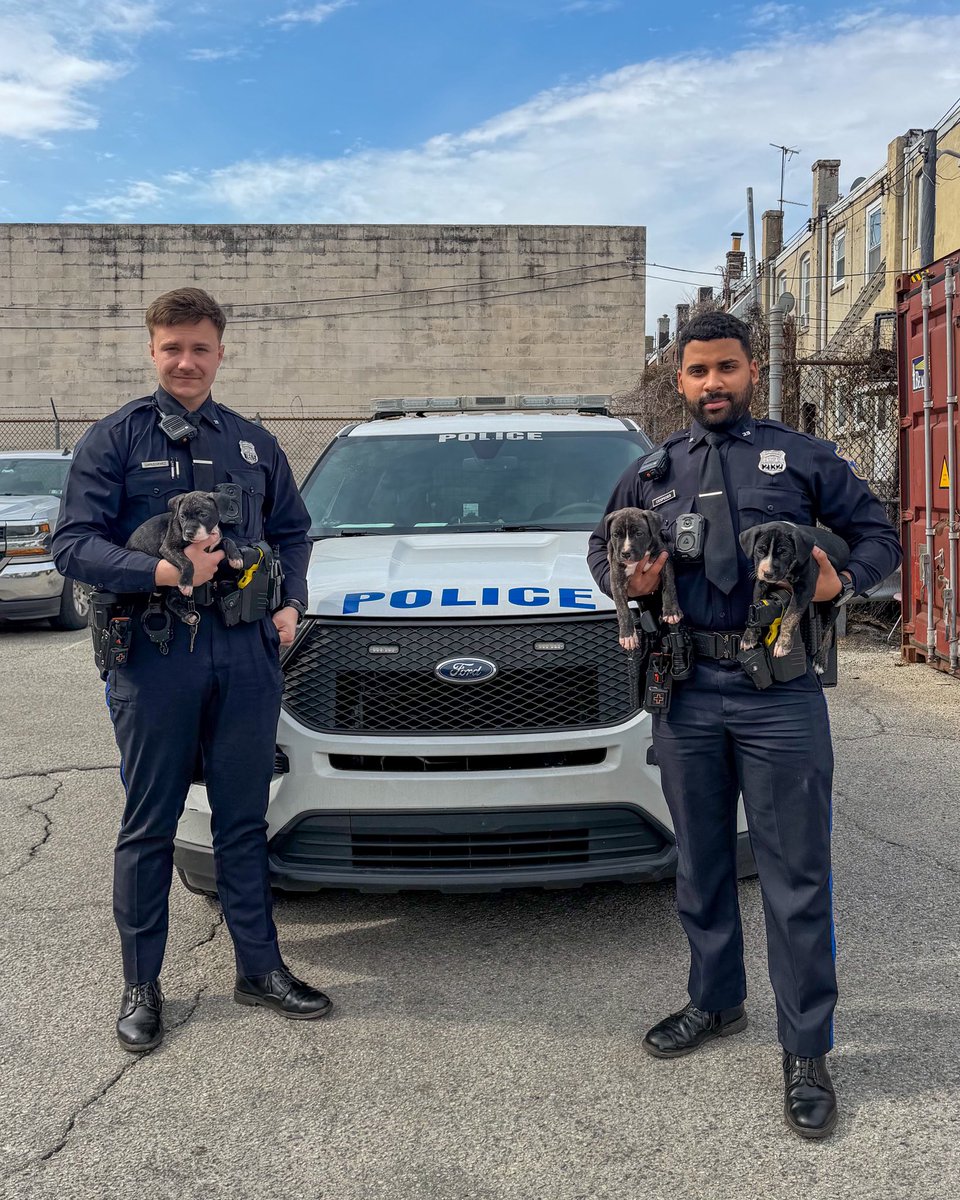 PPD 39th District tweet media