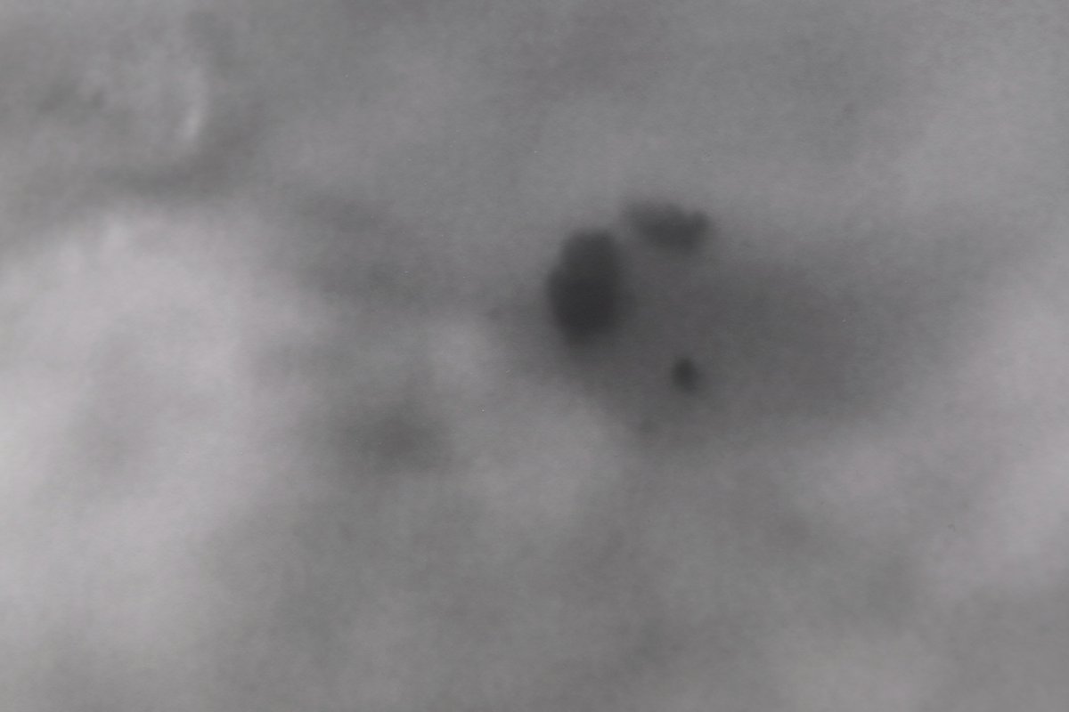 BE=Lab&Gallery【レンタル暗室とアートギャラリー】 tweet media