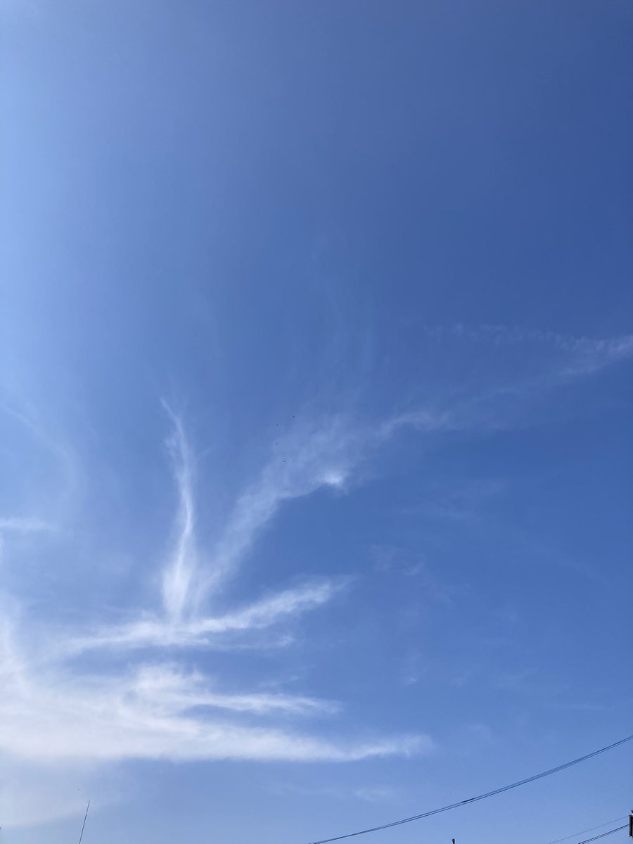 下妻みどり tweet media