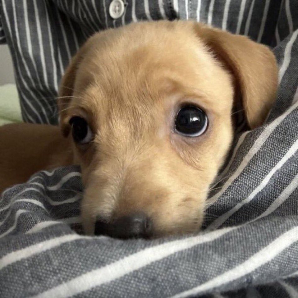 Julio Matheus tweet media