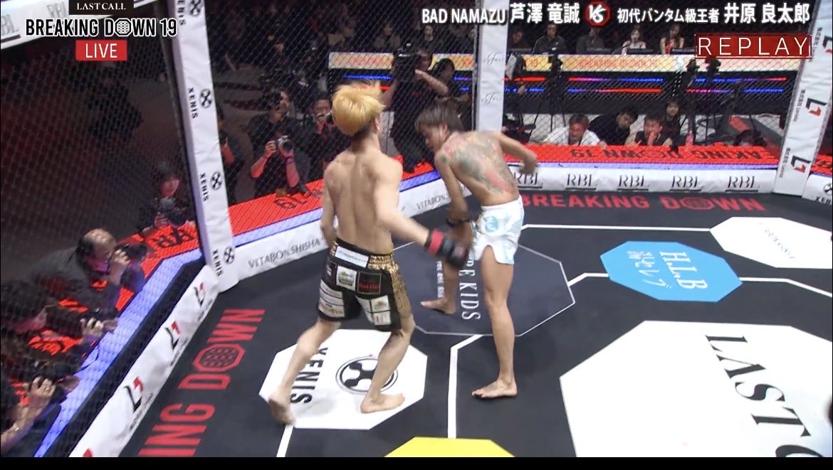 パンディータ/ 格闘技界隈生息 tweet media