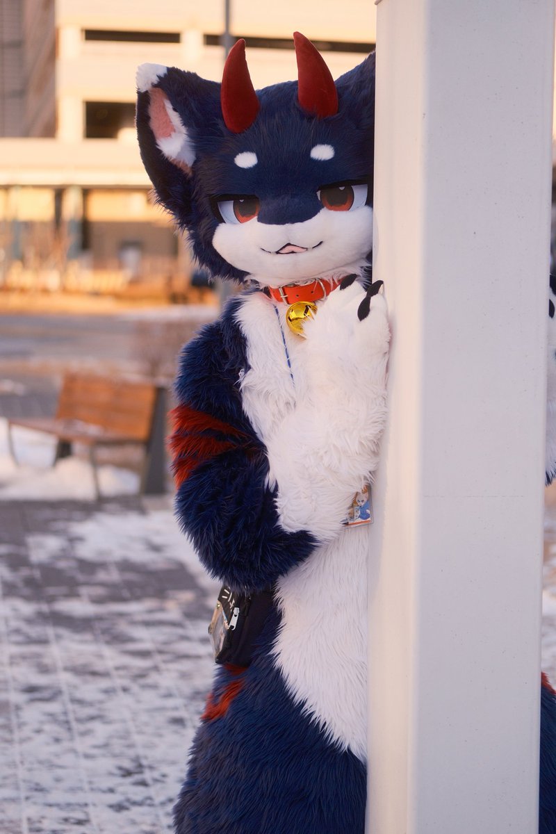 Lumi 루미 🦈🔜furryjoA tweet media