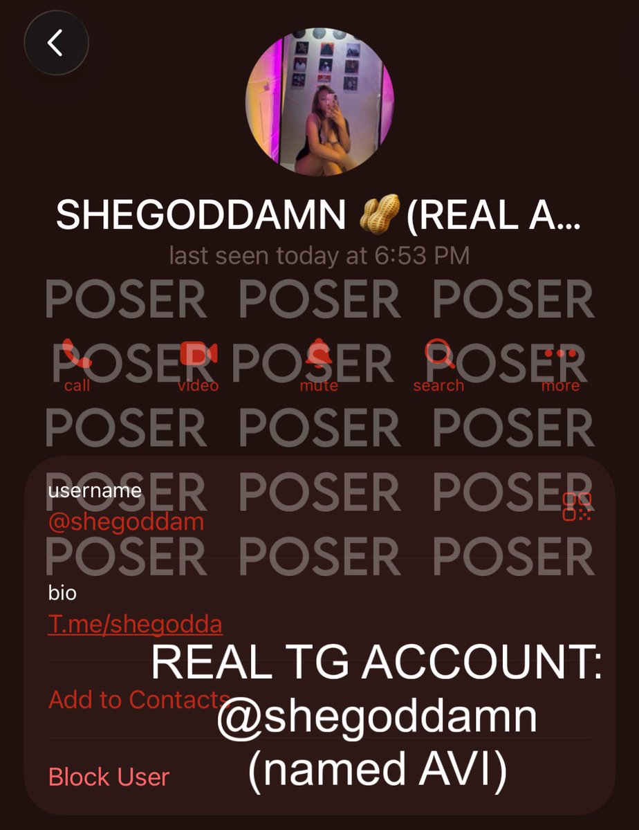 shegoddamn's tweet photo. Hi guys! Just a quick reminder this is my only account 💋  

X: shegoddamn  
TG: shegoddamn (named AVI)
Alua: https://t.co/ftxj4Sn5hy

Please beware of posers pretending to be me. If you want to inquire about my services, kindly DM me here first so you can be sure you’re talking to the real one.  

Stay safe and thank you! 🤍