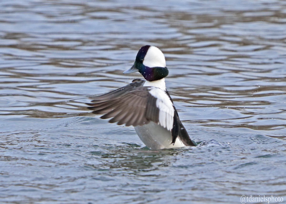 Terry Hlywka tweet media