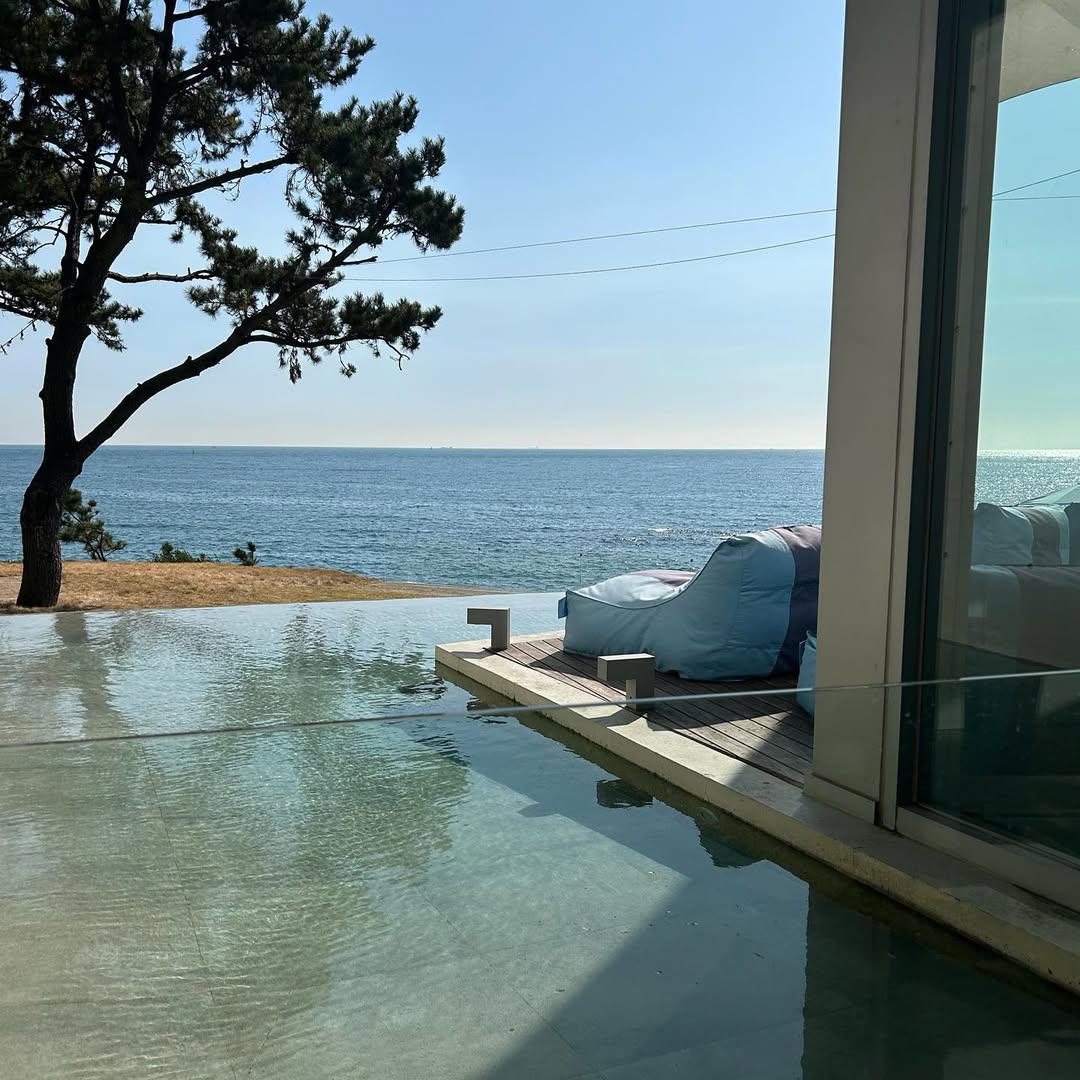 ja_dey61's tweet photo. I 💙 Busan !! https://t.co/7PXj70JOut