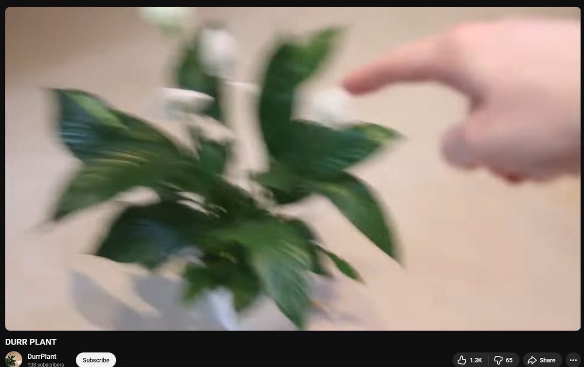 ash taylor?! 📀 is on bsky 🦋 tweet media