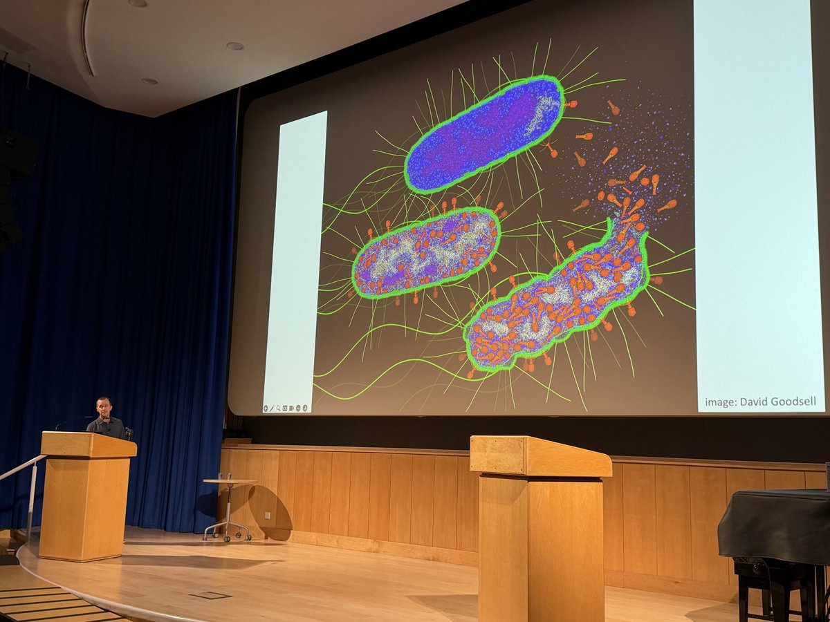 Sophien Kamoun tweet media