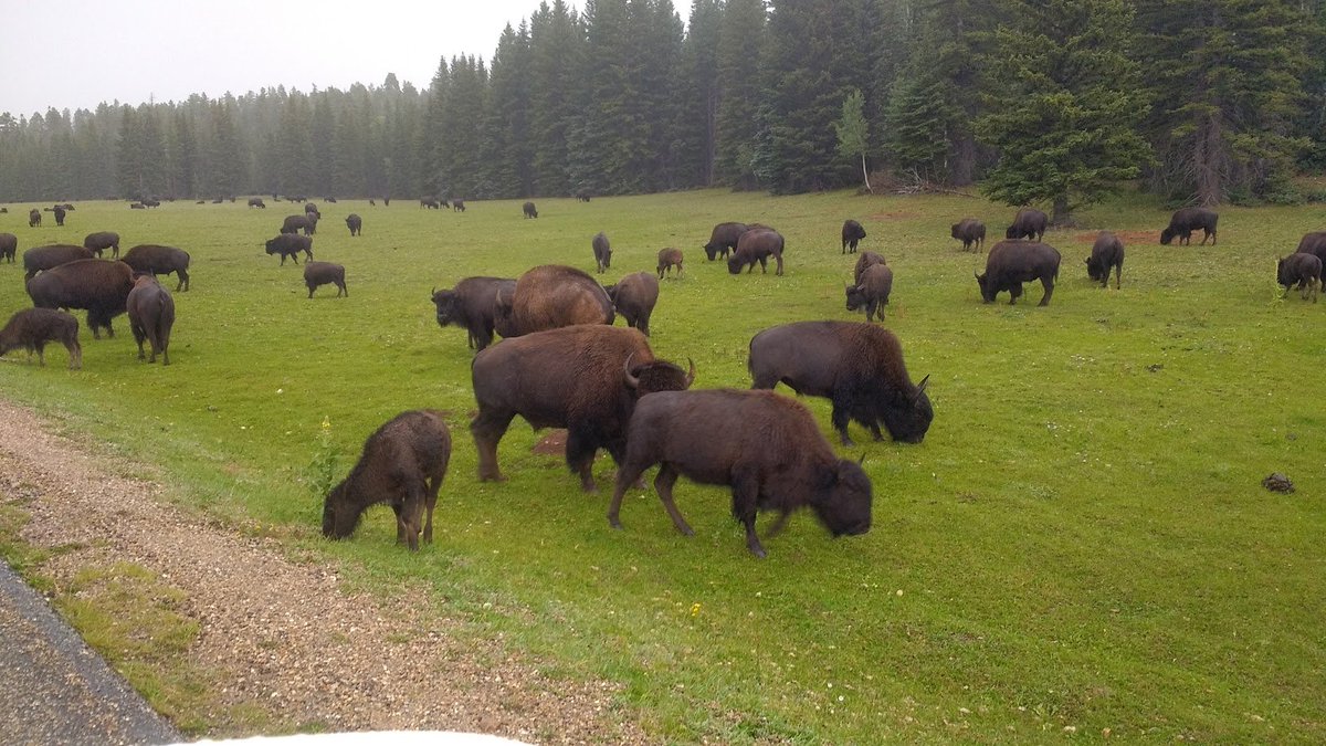 Stache Autonomy tweet media