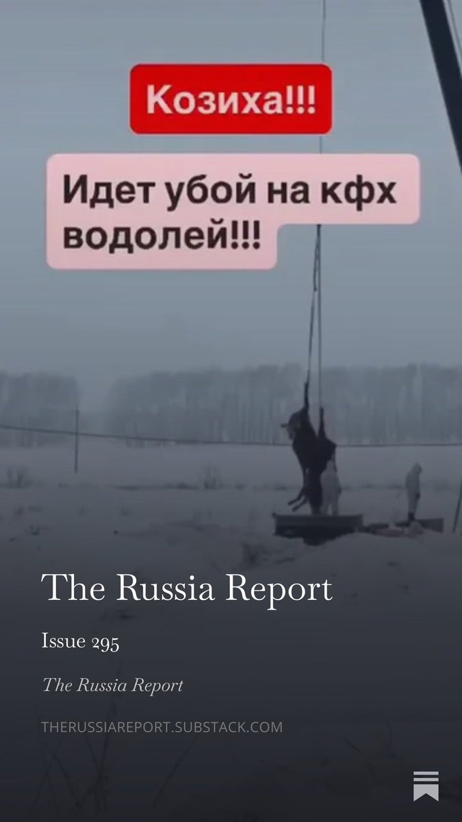 Sarah Hurst 🇺🇦 tweet media