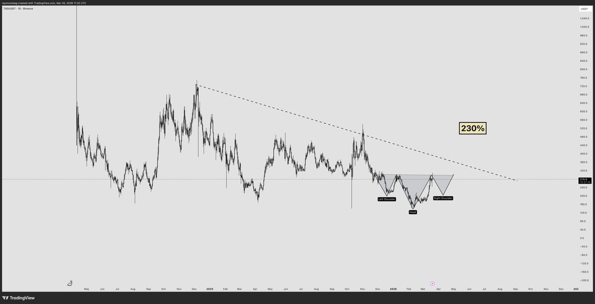 ray 🐂 tweet media