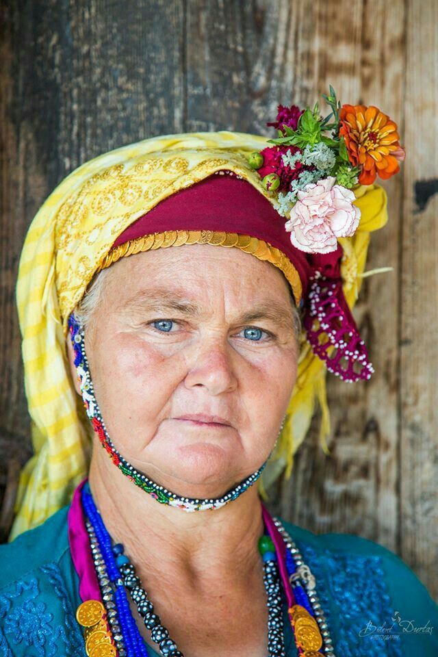 Arch Vision tweet media