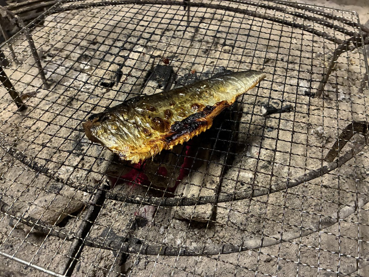 サメ子ちゃん_TAKUMAX#104 tweet media