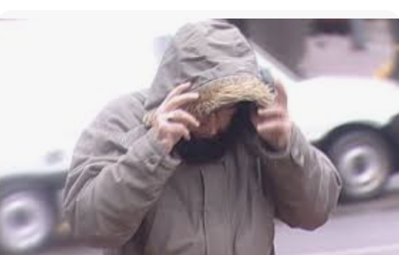 Catherine Blaiklock tweet media