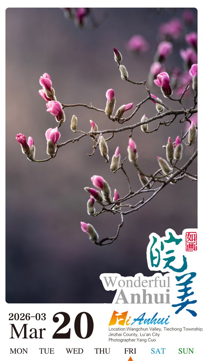 🌺🌺Today marks Spring Equinox, singling the equal length of the day and night time. Embrace springtime scenery of budding and blooming magnolias in Wangchun Valley, Anhui.
#WonderfulAnhui