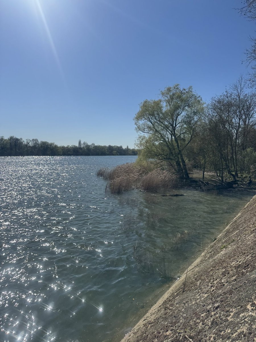 jorge pirès tweet media