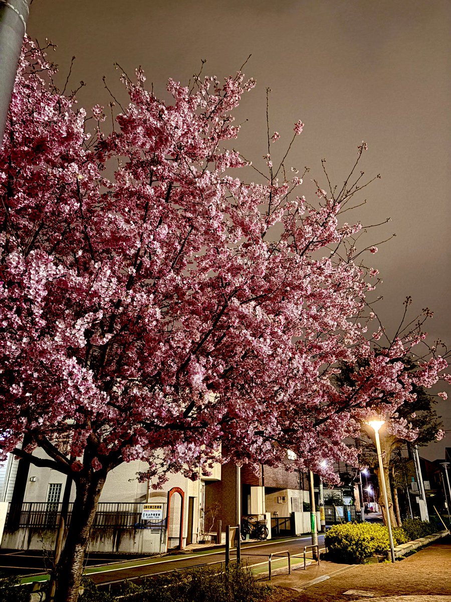 나바나🍔 tweet media