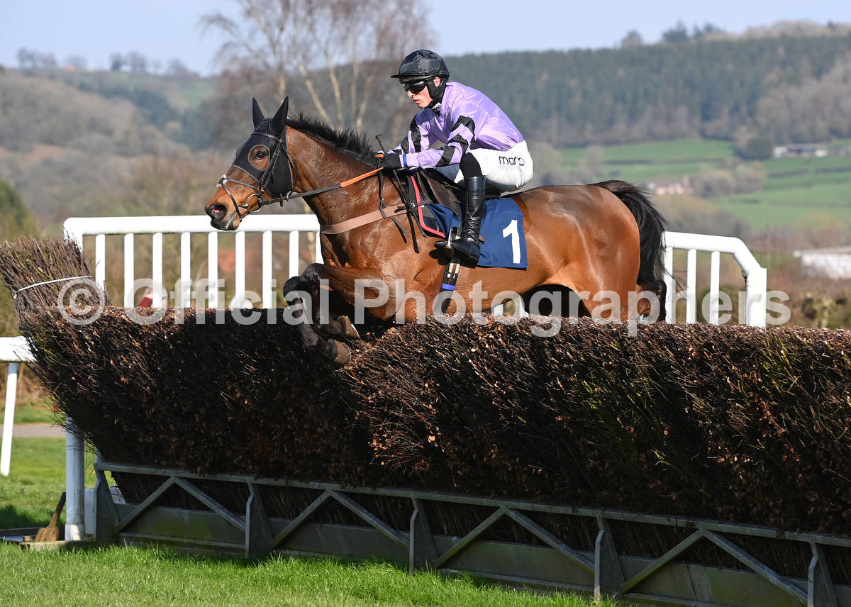 OfficialPhotographers tweet media